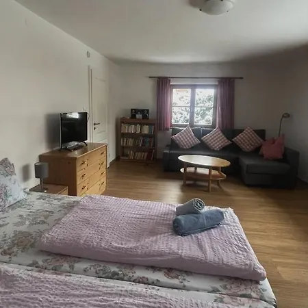 Ferienhaus Werner דירה